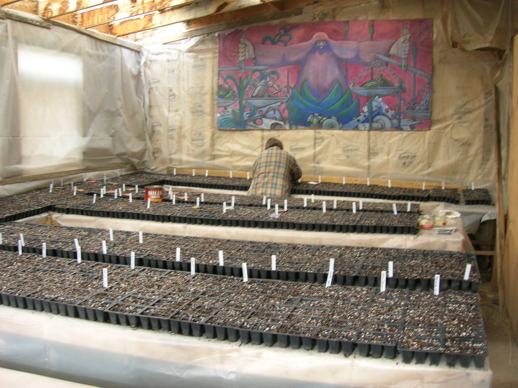 Working Nursery starts