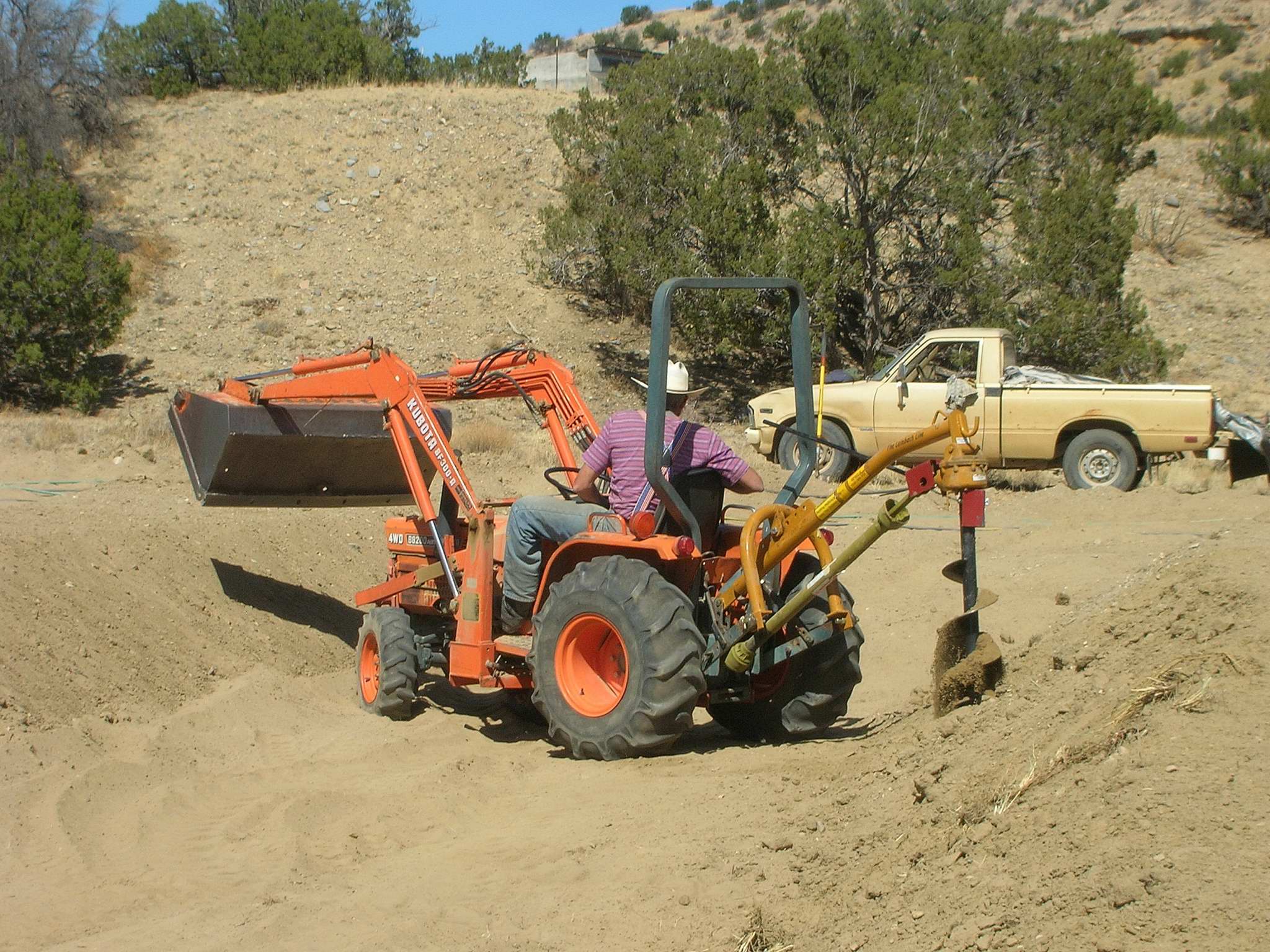 drilling for trees