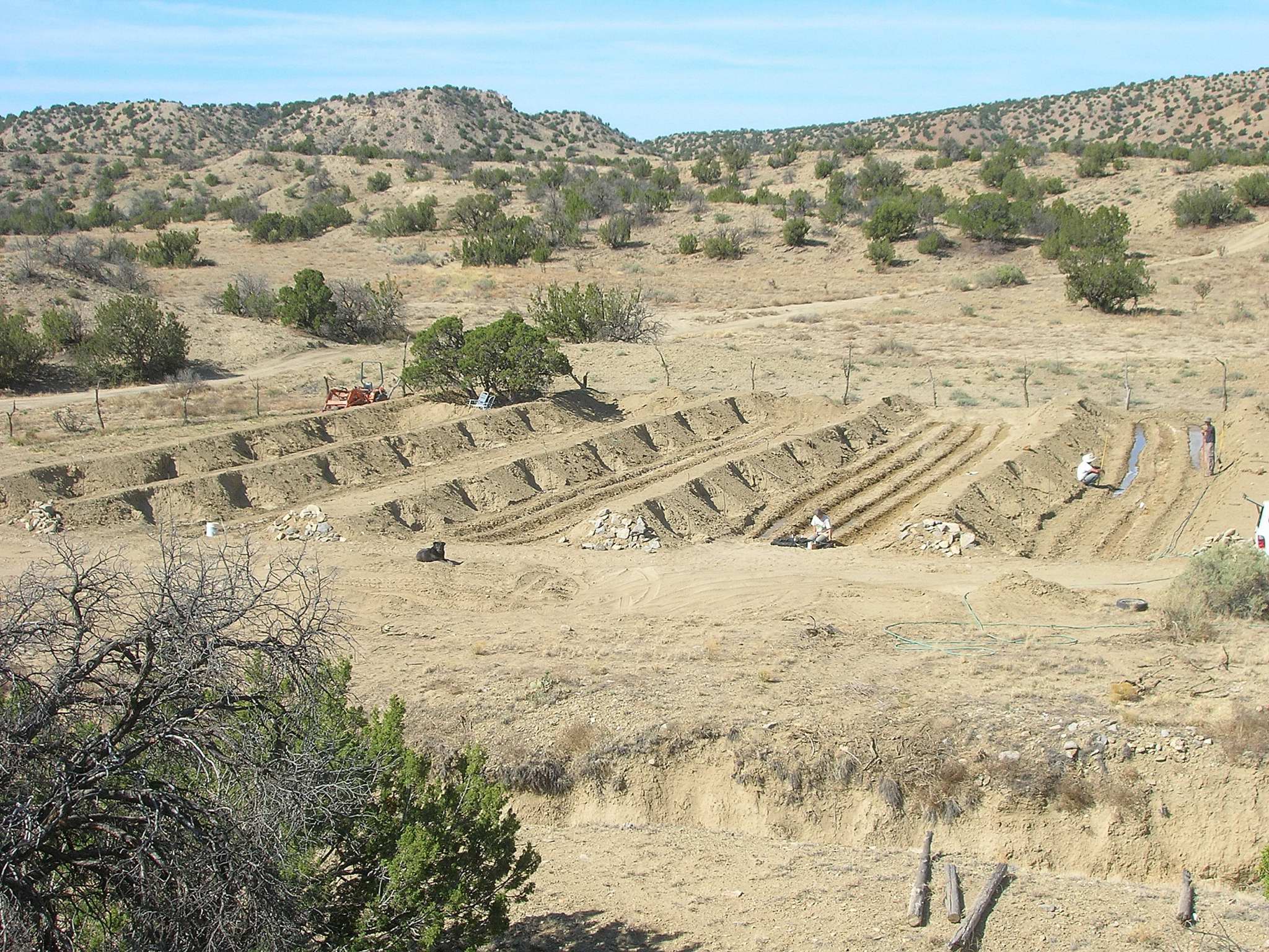the dimples in the berms are the new jujubes