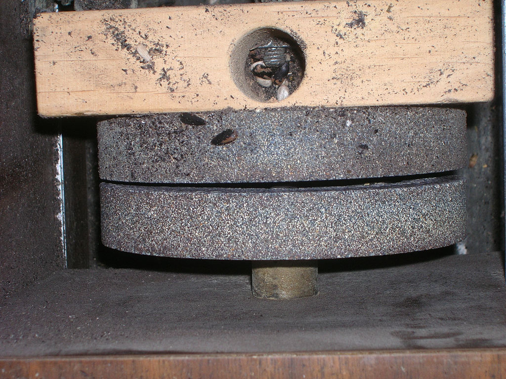 the grinding wheels for the sunflowers